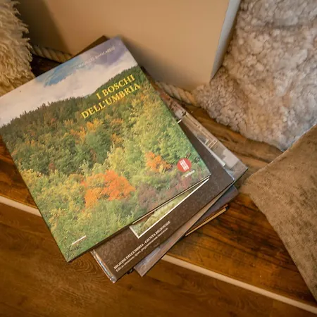 Apartment Perugia - Countryside 1 *